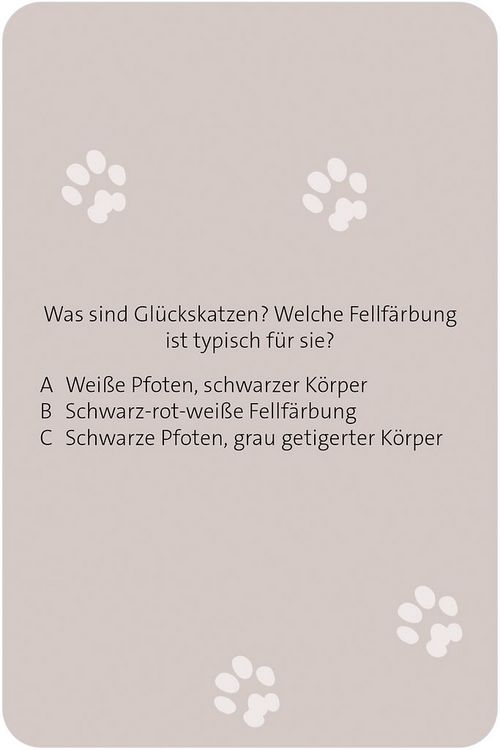 Produktbild: Das gro&szlig;e Katzen Quiz
