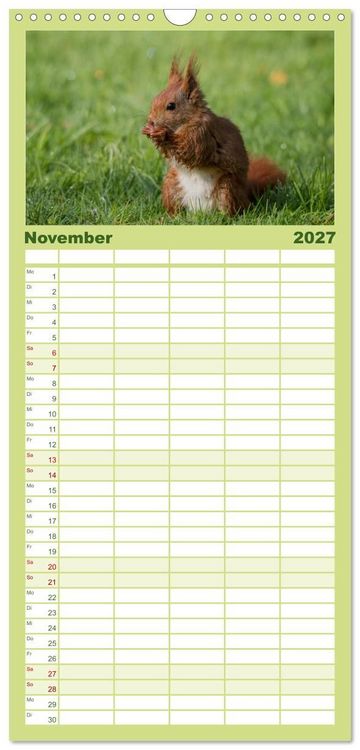 Produktbild: Familienplaner 2027 - Mit dem Eichh&ouml;rnchen durchs Jahr mit 5 Spalten (Wandkalender, 21 x 45 cm) CALVENDO