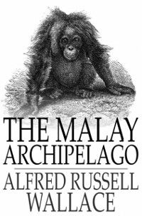 Produktbild: Malay Archipelago
