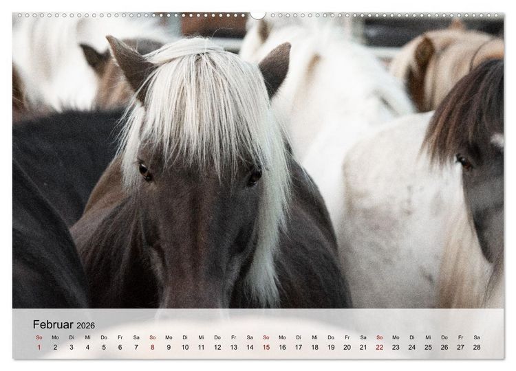 Produktbild: Pferde 2026 Kraft und Anmut (hochwertiger Premium Wandkalender 2026 DIN A2 quer), Kunstdruck in Hochglanz