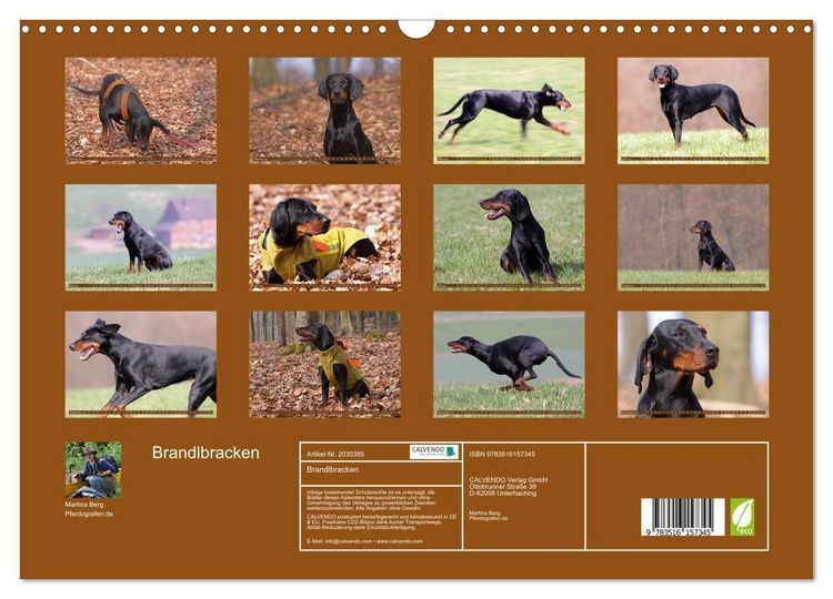 Produktbild: Brandlbracken (Wandkalender 2026 DIN A3 quer), CALVENDO Monatskalender