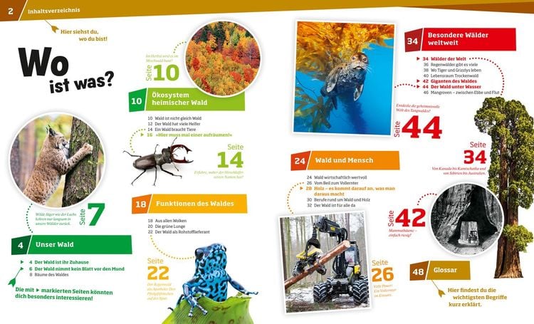 Produktbild: WAS IST WAS Band 134 Wald. Mehr als nur Bäume