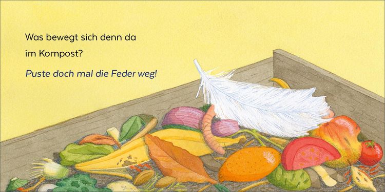 Produktbild: Wer hat sich denn hier versteckt?