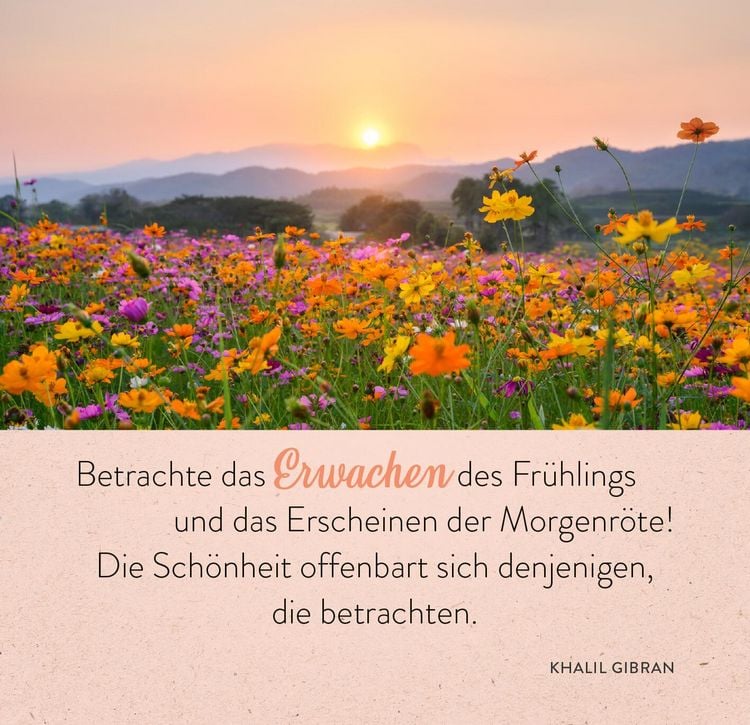 Produktbild: 365 Inspirationen aus der Natur