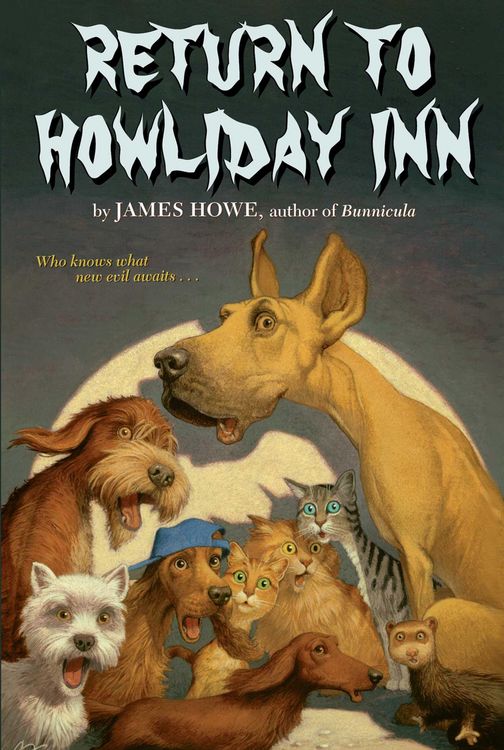 Produktbild: Return to Howliday Inn