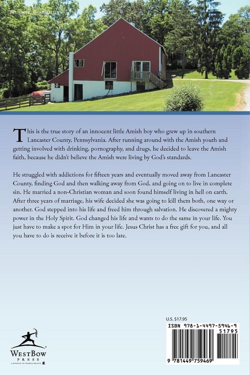 Produktbild: Amish to Christian