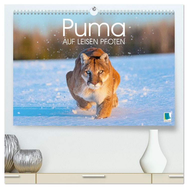 Produktbild: Puma: Auf leisen Pfoten (hochwertiger Premium Wandkalender 2026 DIN A2 quer), Kunstdruck in Hochglanz