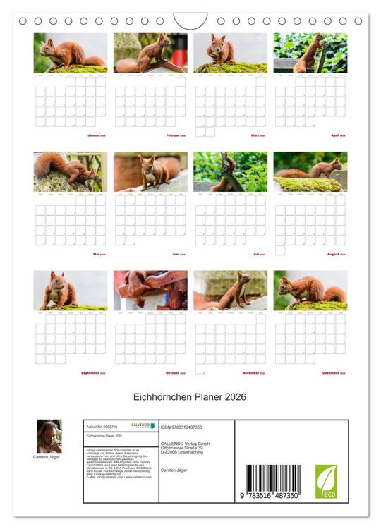 Produktbild: Eichh&ouml;rnchen Planer 2026 (Wandkalender 2026 DIN A4 hoch), CALVENDO Monatskalender