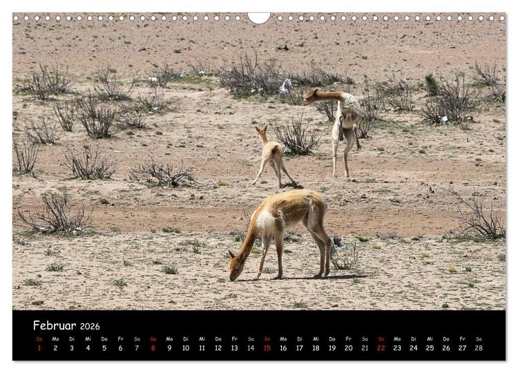 Produktbild: Traumziel Peru (Wandkalender 2026 DIN A3 quer), CALVENDO Monatskalender