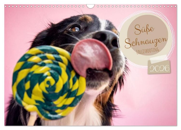 Produktbild: S&uuml;&szlig;e Schnauzen (Wandkalender 2026 DIN A3 quer), CALVENDO Monatskalender