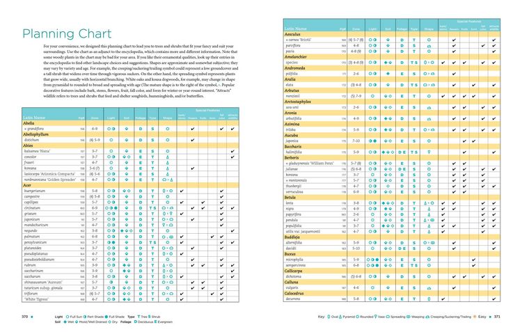 Produktbild: The Homeowner's Complete Tree & Shrub Handbook