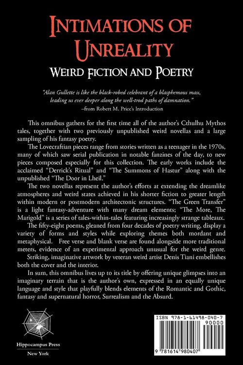 Produktbild: Intimations of Unreality