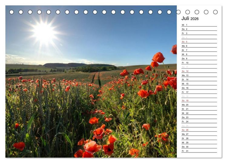 Produktbild: Ein Traum von Mohn (Tischkalender 2026 DIN A5 quer), CALVENDO Monatskalender