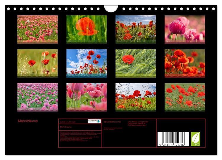 Produktbild: Mohntr&auml;ume (Wandkalender 2026 DIN A4 quer), CALVENDO Monatskalender