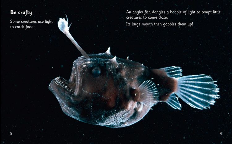 Produktbild: Animal Tricks: Glow in the Dark