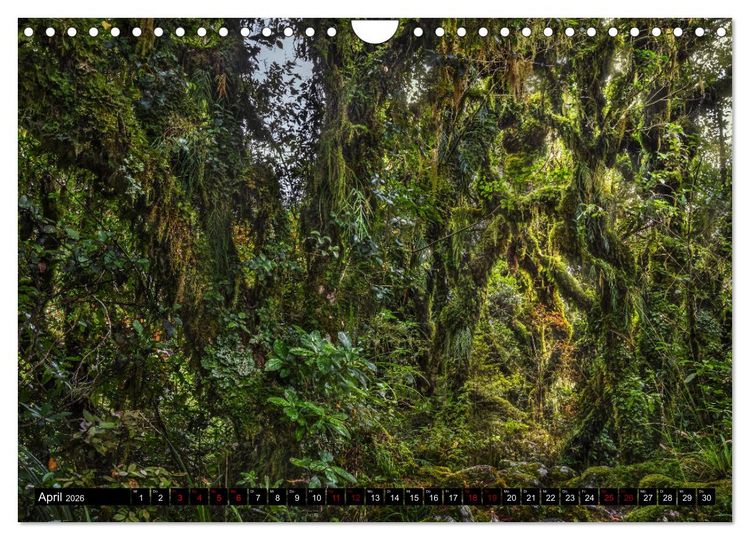 Produktbild: Trauminseln Neuseeland (Wandkalender 2026 DIN A4 quer), CALVENDO Monatskalender