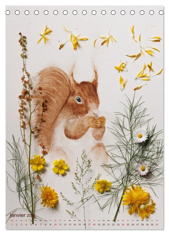 Produktbild: Animaux &agrave; l'aquarelle et v&eacute;g&eacute;taux (Calendrier de bureau 2026 DIN A5 horizontal), CALVENDO calendrier mensuel