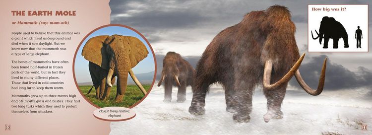 Produktbild: Animal Ancestors