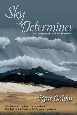 Produktbild: Sky Determines