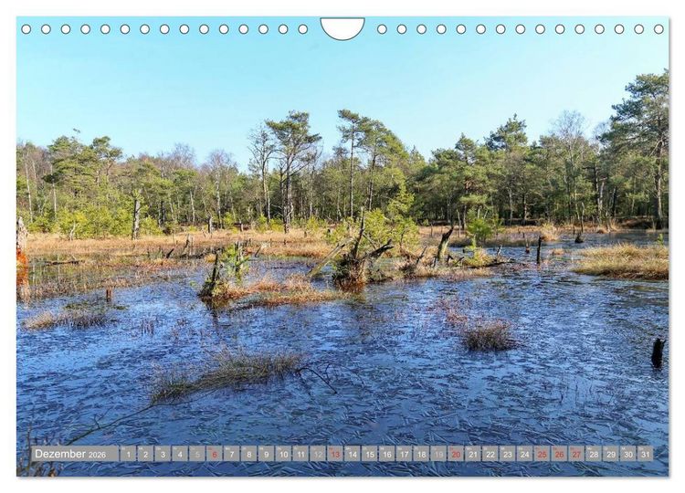 Produktbild: Pietzmoor - ein Hochmoor in der L&uuml;neburger Heide (Wandkalender 2026 DIN A4 quer), CALVENDO Monatskalender