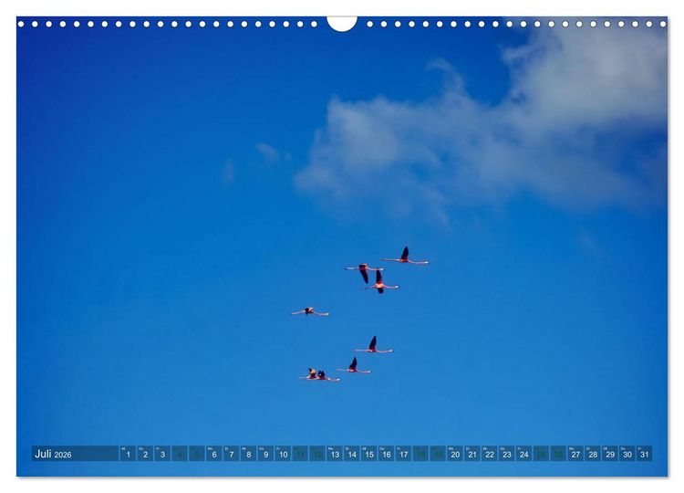 Produktbild: Kuba - Perle der Karibik (Wandkalender 2026 DIN A3 quer), CALVENDO Monatskalender