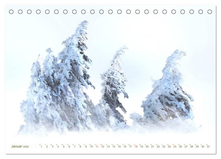 Produktbild: B&Auml;UME - wie gemalt (Tischkalender 2026 DIN A5 quer), CALVENDO Monatskalender