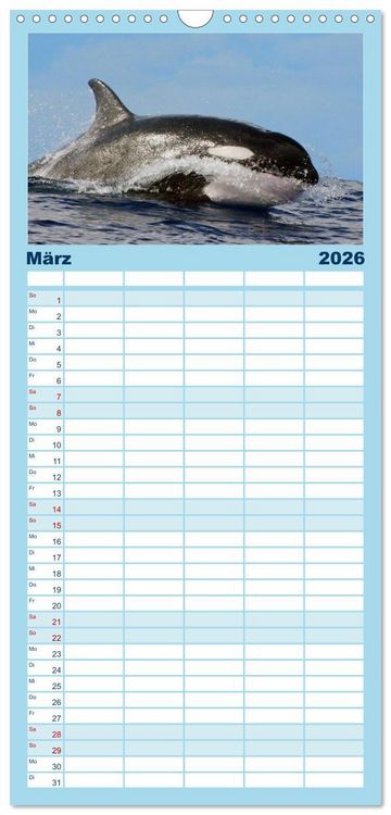 Produktbild: Familienplaner 2026 - Delfine und Wale mit 5 Spalten (Wandkalender, 21 x 45 cm) CALVENDO