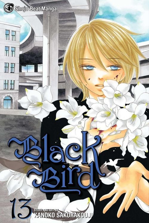Produktbild: Black Bird, Vol. 13