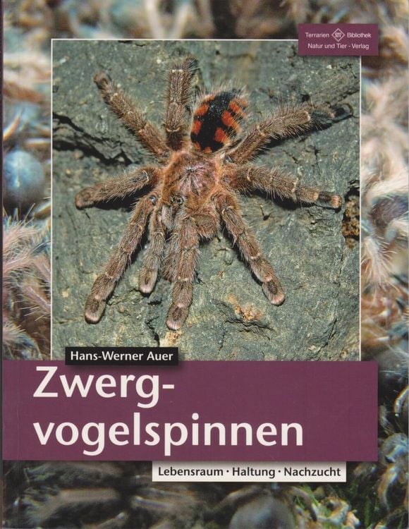 Produktbild: Zwergvogelspinnen