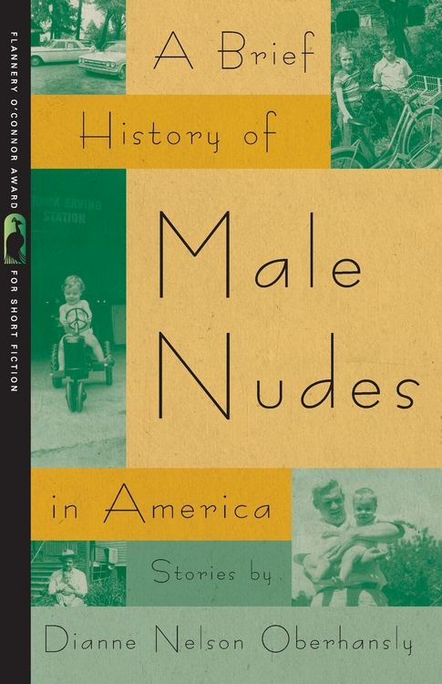 Produktbild: A Brief History of Male Nudes in America