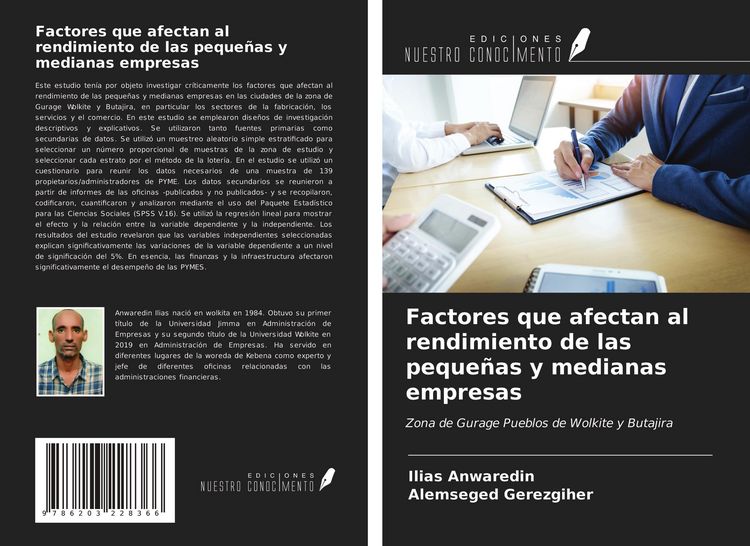 Produktbild: Factores que afectan al rendimiento de las peque&ntilde;as y medianas empresas