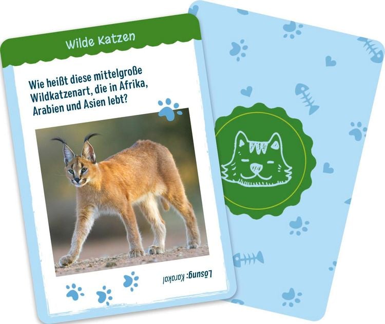 Produktbild: Warum haben Katzen Angst vor Gurken?