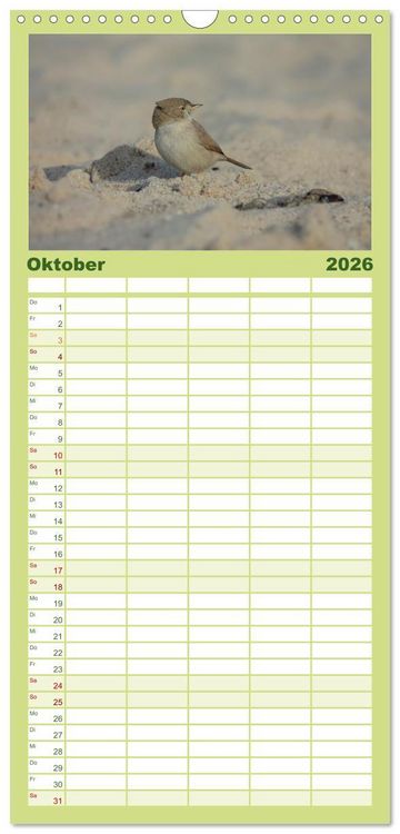 Produktbild: Familienplaner 2026 - Wilde Vogelwelt Helgoland mit 5 Spalten (Wandkalender, 21 x 45 cm) CALVENDO