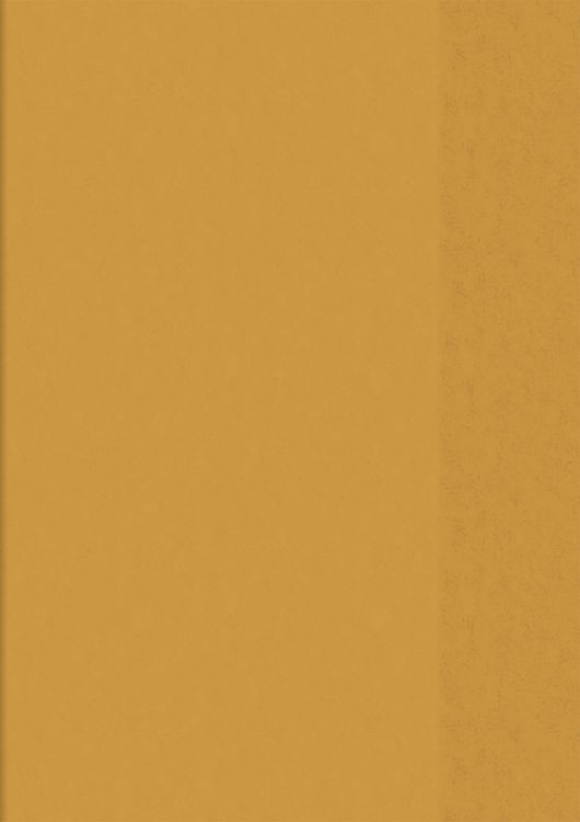 Produktbild: Brunnen Hefth&uuml;lle A5 tr orange Folie