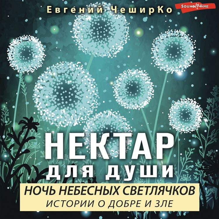 Produktbild: Noch' Nebesnyh Svetlyachkov. Istorii o Dobre i Zle