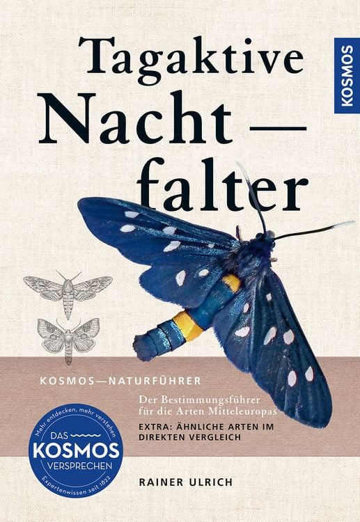 Produktbild: Tagaktive Nachtfalter