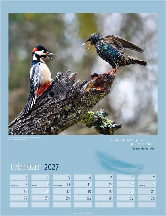 Produktbild: Heimische V&ouml;gel Kalender 2027