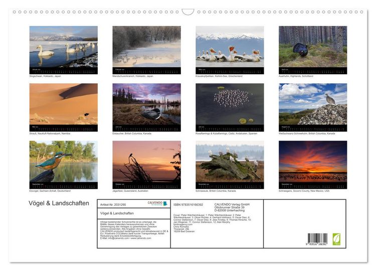 Produktbild: V&ouml;gel & Landschaften (Wandkalender 2026 DIN A2 quer), CALVENDO Monatskalender