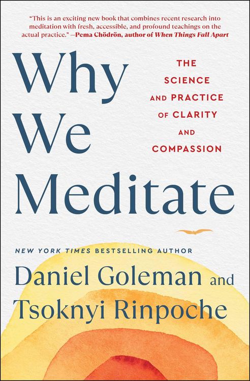 Produktbild: Why We Meditate