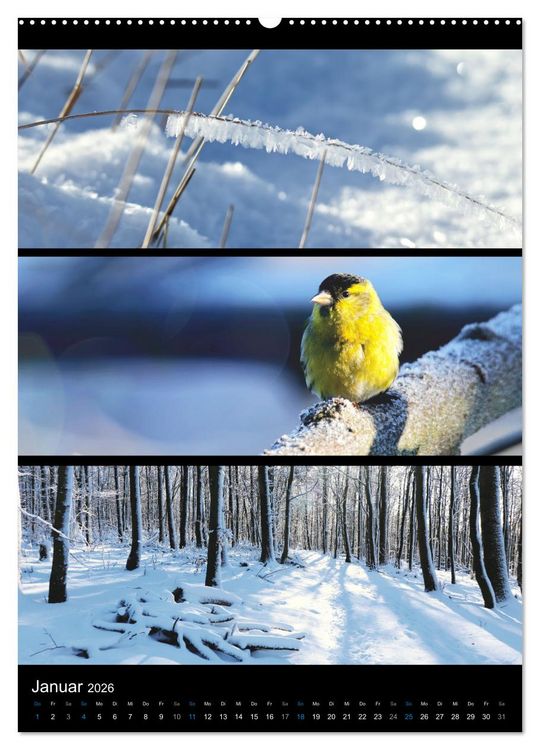 Produktbild: Bezaubernde Farben der Natur (Wandkalender 2026 DIN A2 hoch), CALVENDO Monatskalender