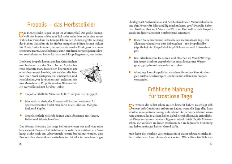 Produktbild: Fit durchs Jahr. Gesundheitstipps f&uuml;r alle Jahreszeiten. Gesund bleiben und wieder werden