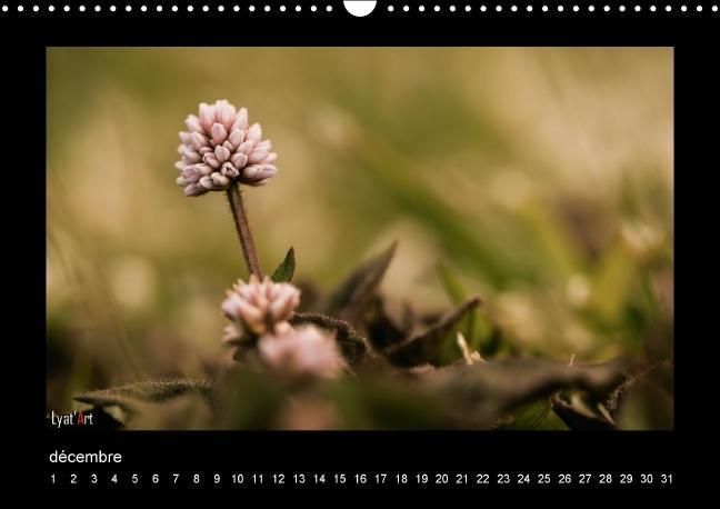 Produktbild: Liatard, A: Fleurs et couleurs (Calendrier mural Calendrier
