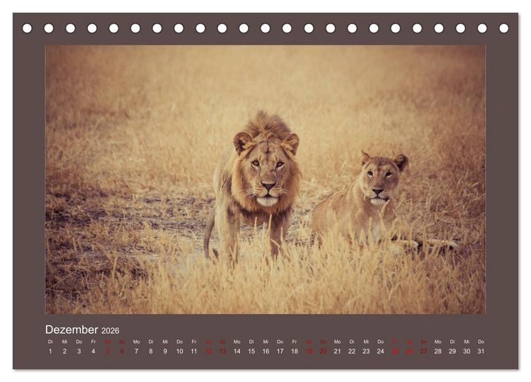 Produktbild: Tansania - Mensch, Tier und Landschaft (Tischkalender 2026 DIN A5 quer), CALVENDO Monatskalender