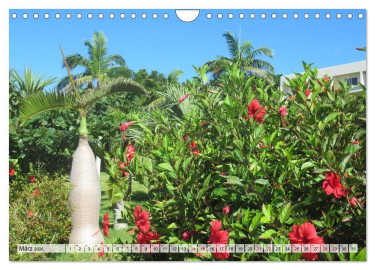 Produktbild: Ishigaki & Miyako - Subtropisches Inselparadies im S&uuml;den Japans (Wandkalender 2026 DIN A4 quer), CALVENDO Monatskalender