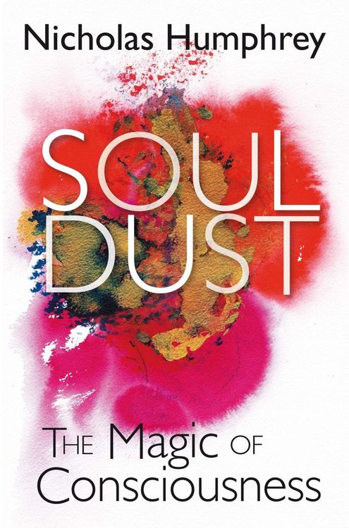 Produktbild: Soul Dust