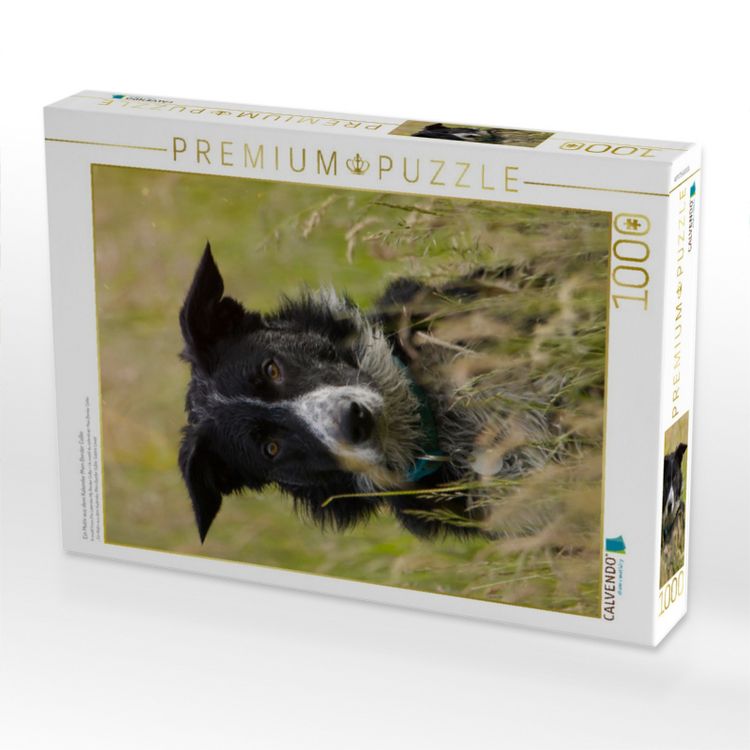 Produktbild: CALVENDO Puzzle Ein Motiv aus dem Kalender Mein Border Collie | 1000 Teile Lege-Gr&ouml;&szlig;e 64x48cm Foto-Puzzle f&uuml;r gl&uuml;ckliche Stunden