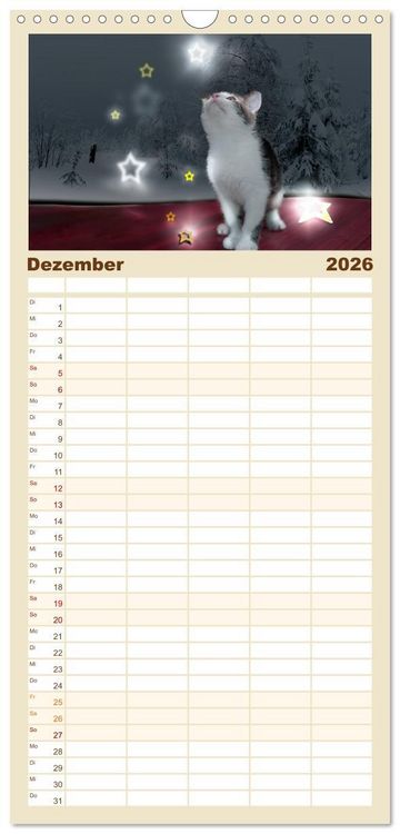 Produktbild: Familienplaner 2026 - Katzenbabys beobachtet mit 5 Spalten (Wandkalender, 21 x 45 cm) CALVENDO