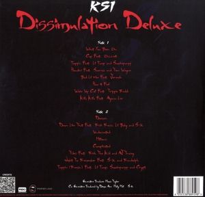 Produktbild: Dissimulation (LP)
