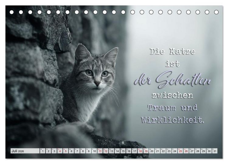 Produktbild: Katzenpoesie - Herzber&uuml;hrende Verse (Tischkalender 2026 DIN A5 quer), CALVENDO Monatskalender