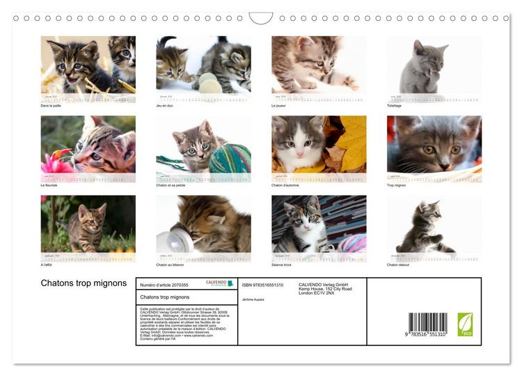 Produktbild: Chatons trop mignons (Calendrier mural 2026 DIN A3 vertical), CALVENDO calendrier mensuel
